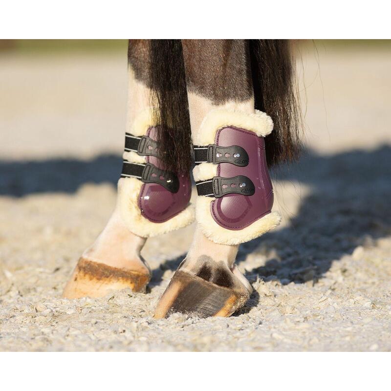 Protège-boulets pour cheval QHP Menton