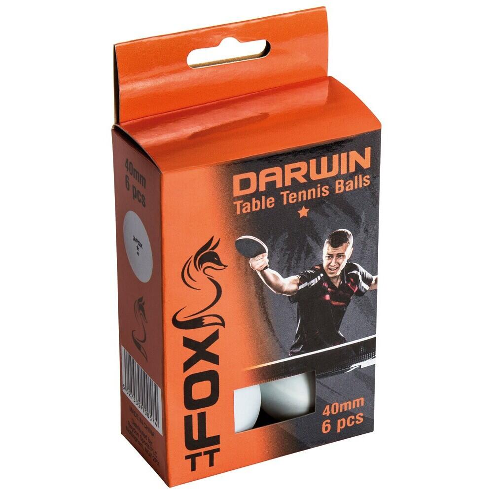 Table tennis ball Fox TT Darwin 1 Star (x6)