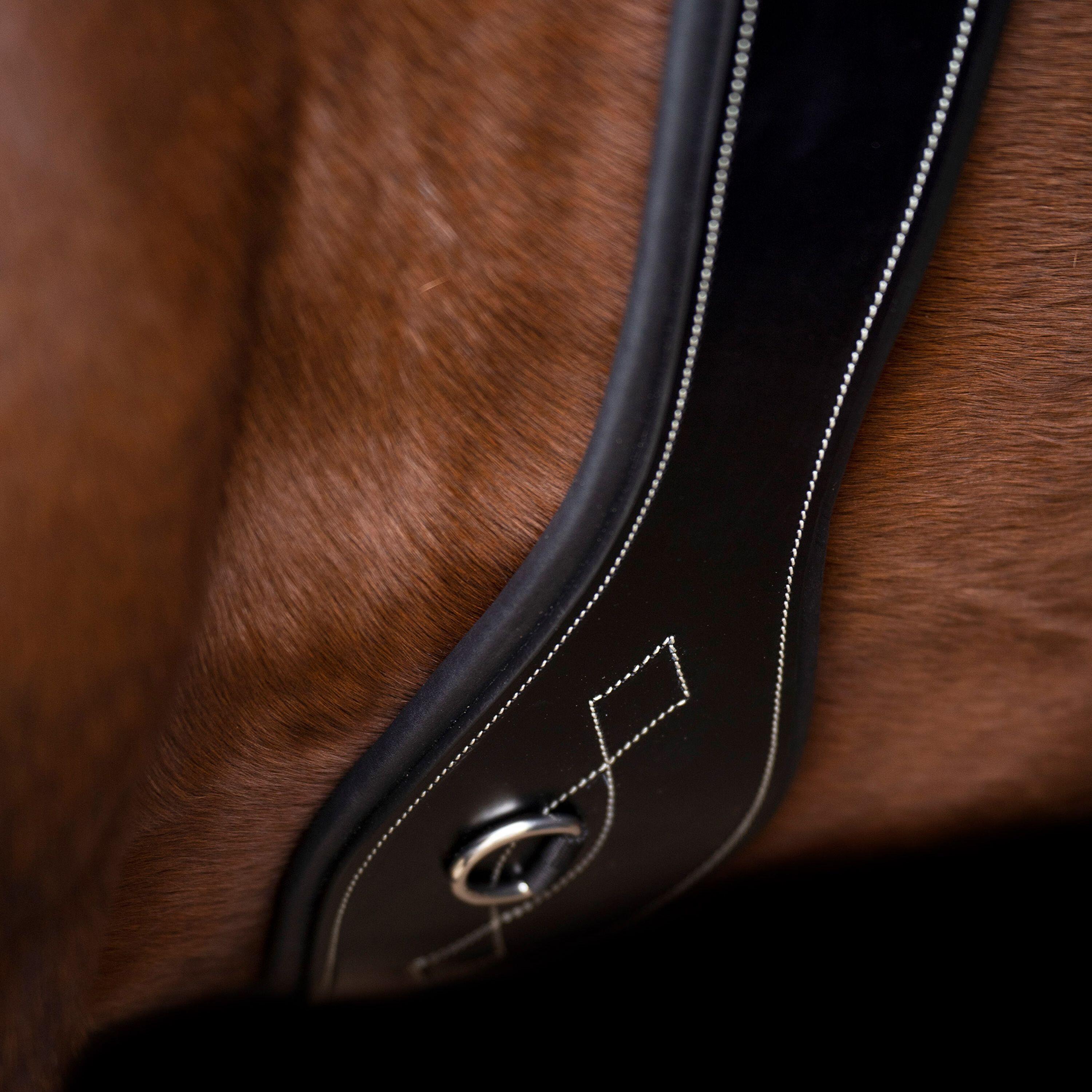 Sangle de dressage équitation HV Polo Legacy 3/3