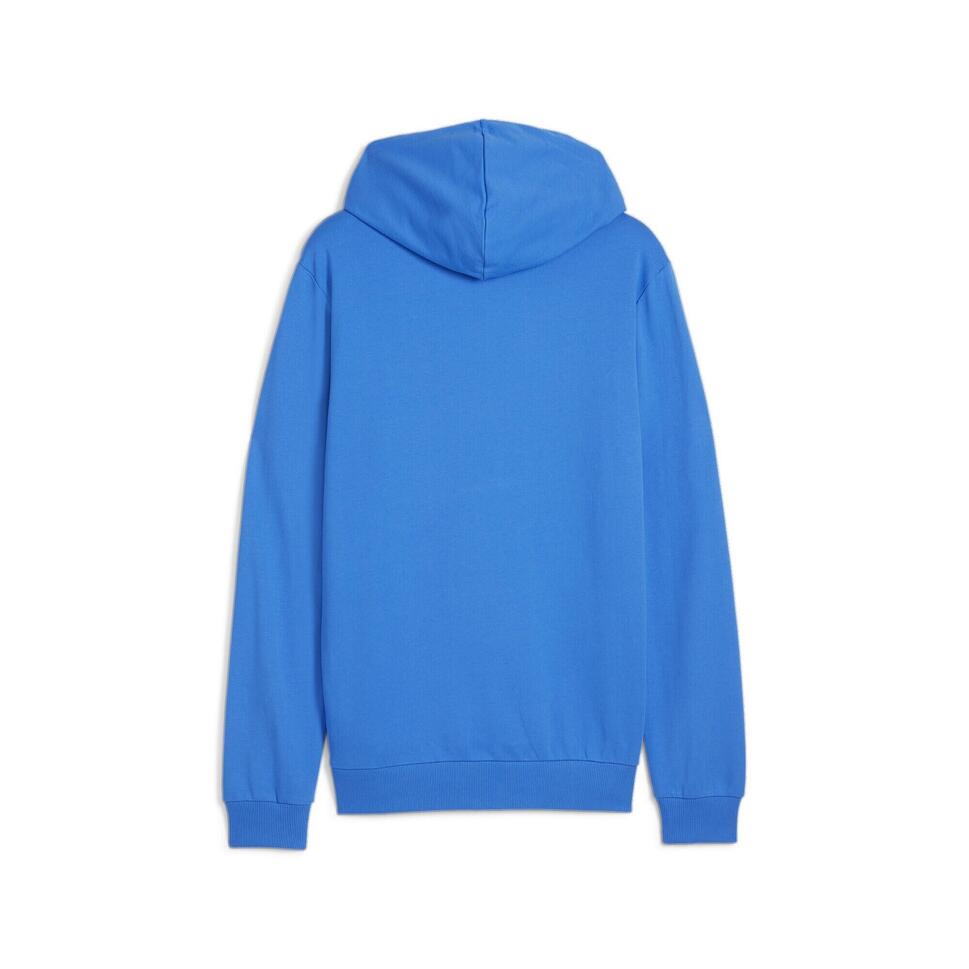 Bluza z kapturem Puma Teamgoal Casuals