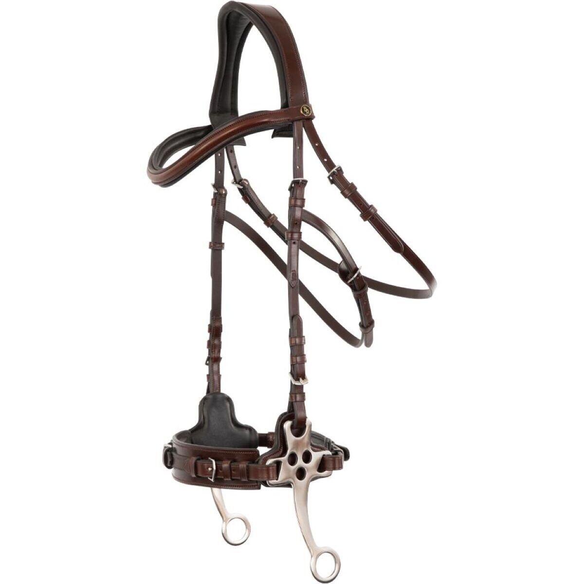 BR Lydney anatomic riding bridles