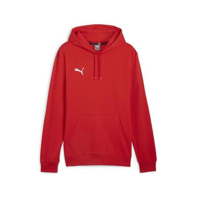 Felpa con cappuccio Puma Teamgoal Casuals