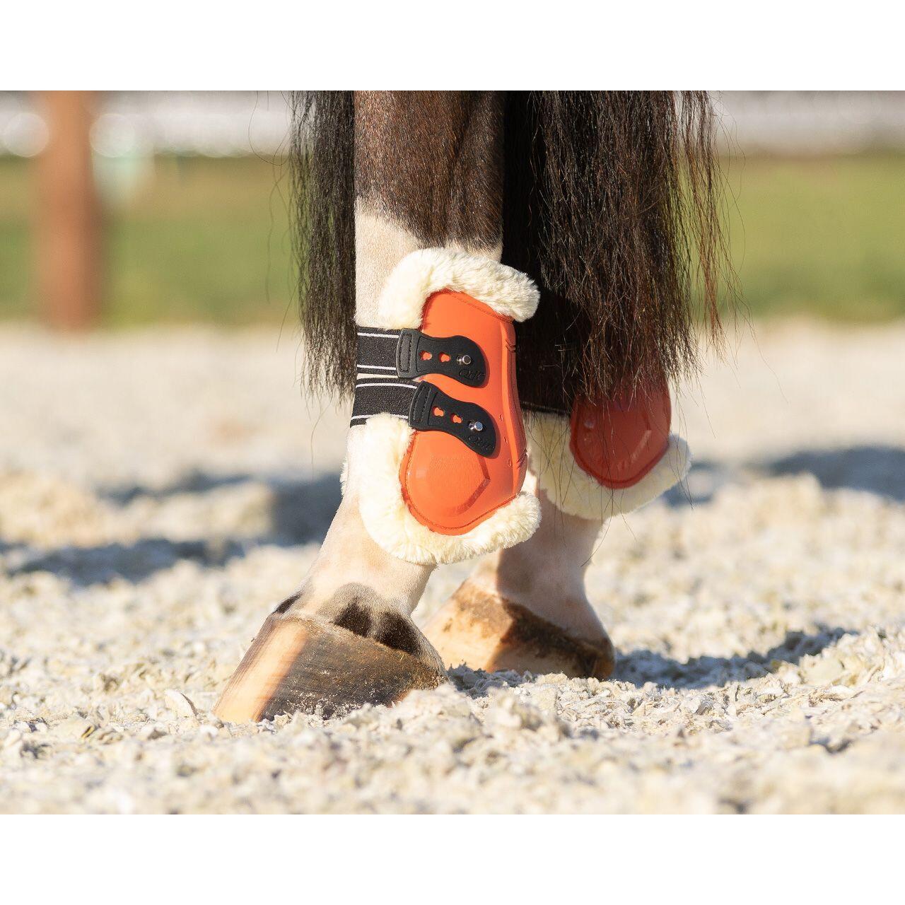 Paardenvoeten QHP Menton 4/4