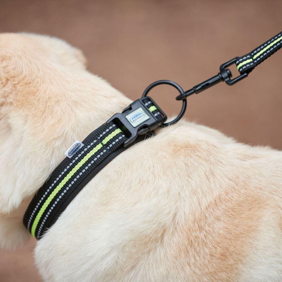Reflektierendes Hundehalsband Weatherbeeta 3/4