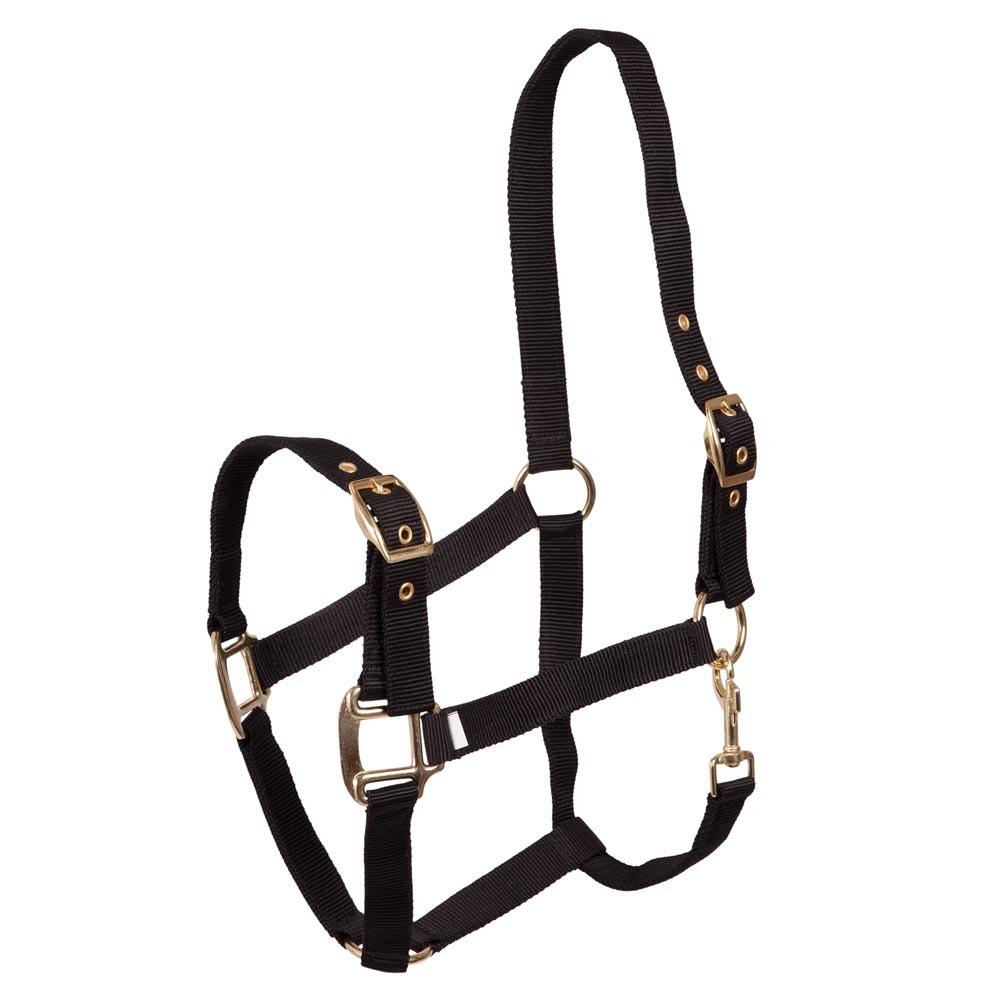 Polypropylene halter Premiere Equitation