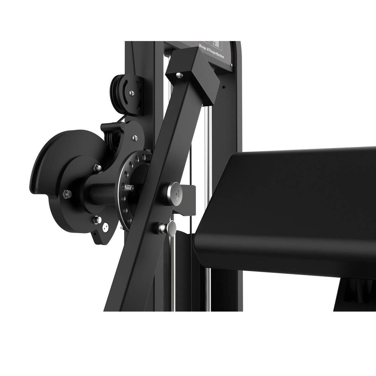 Curl de Biceps et Extension de 5/5