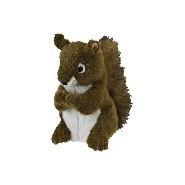 Squirrel cover Daphne bois