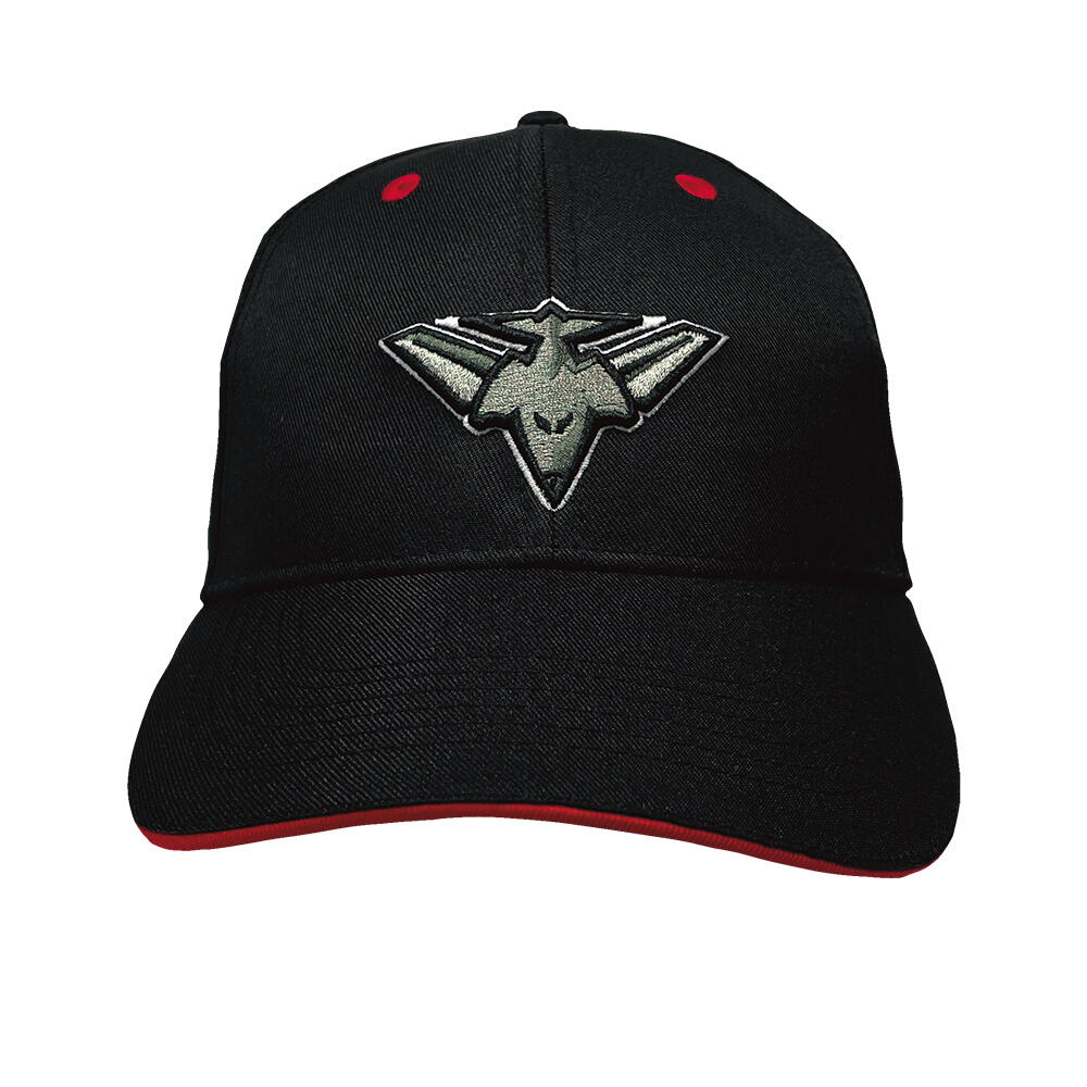Essendon Bombers AFL Youth 3D Logo Cap