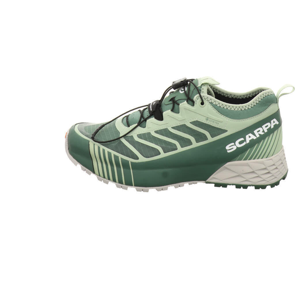 SCARPA picture
