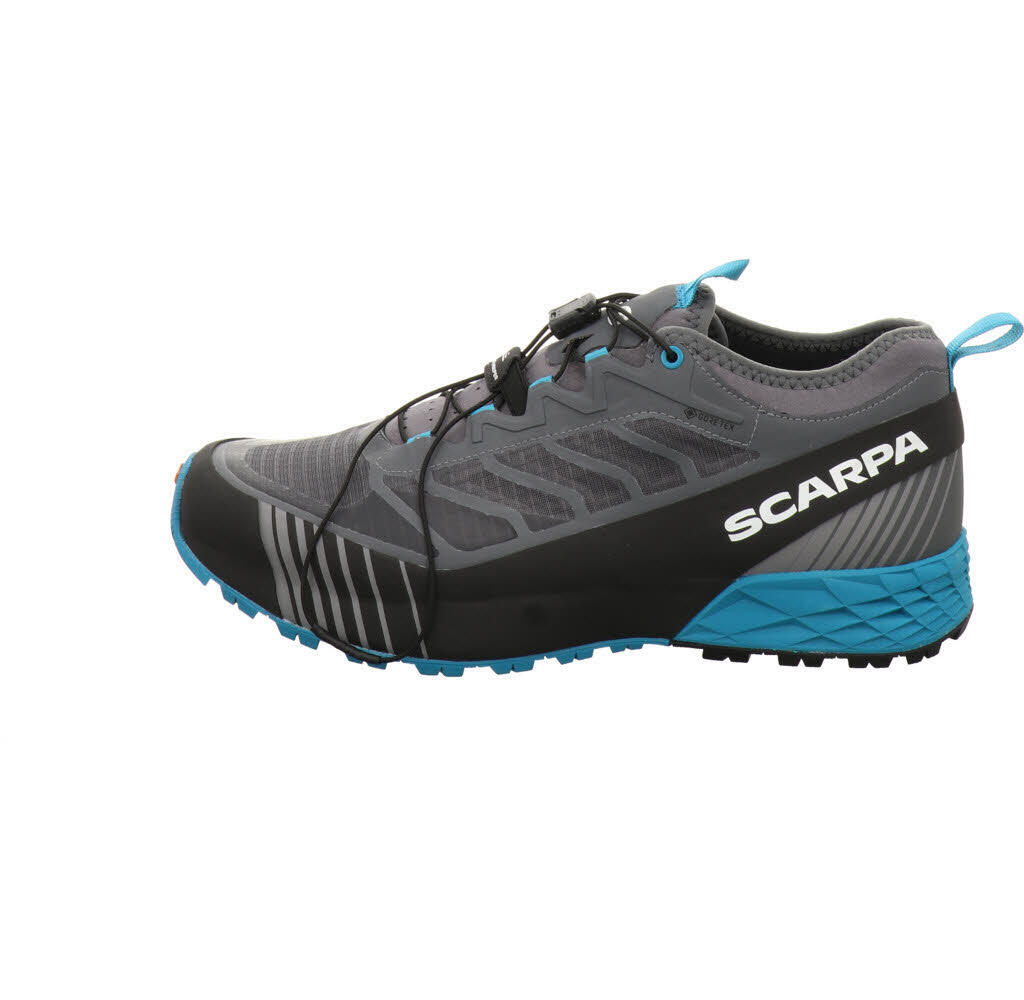 SCARPA picture