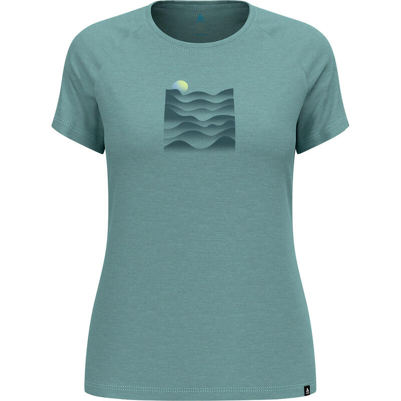 f9b59ef5-34e0-4907-ac27-0ef1ba6ea78c_c209