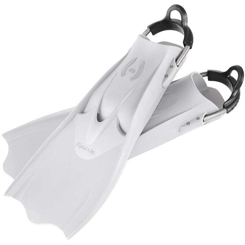 Labe Hollis - F1 LT White, L