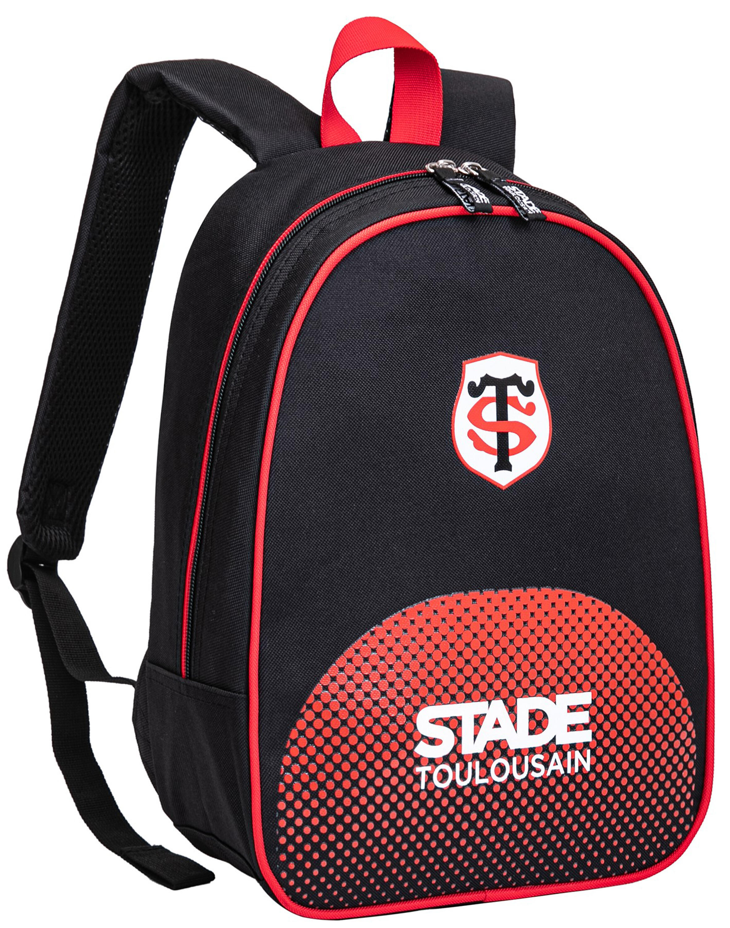 STADE TOULOUSAIN picture
