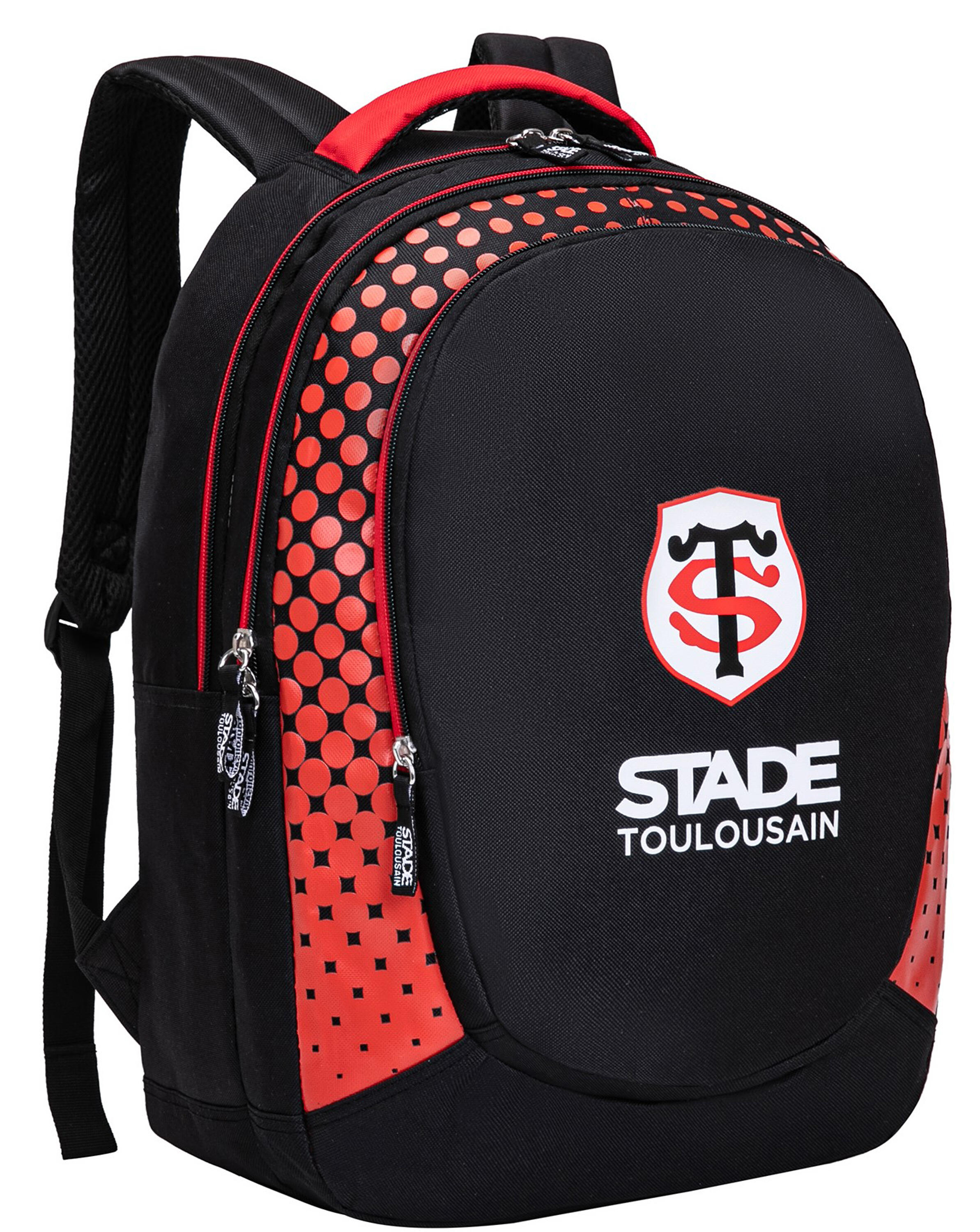 STADE TOULOUSAIN picture