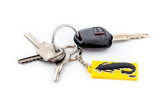 Schlüsselanhänger - Addict Wels