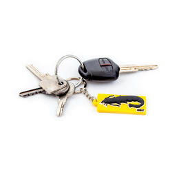 FishXplorer - Porte-Clés - Addict Silure