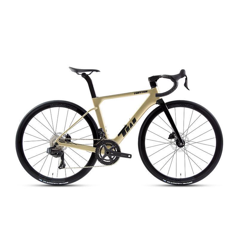 R15 Pro Carbon Road Bike Alloy Wheels Gold