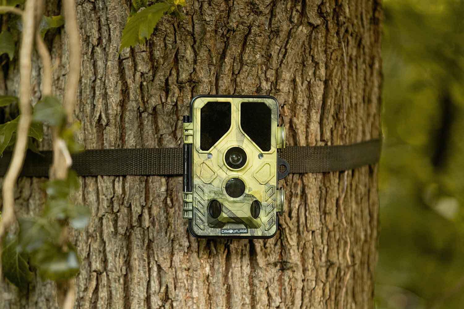 CAMÉRA DE CHASSE - PIÈGE PHOTO - CAMOUFLAGE EZ45 - ENVOI SUR SMARTPHONE 4/5