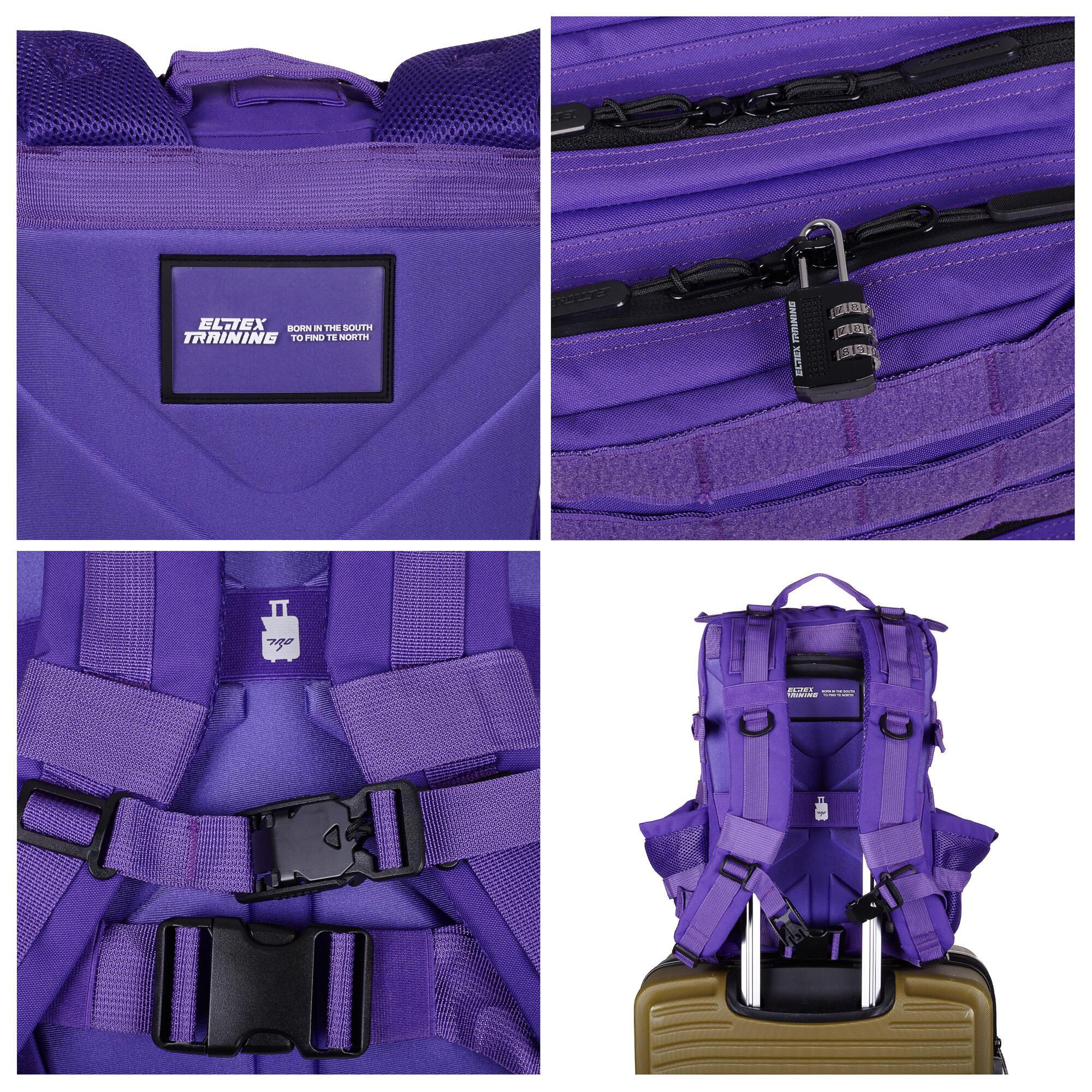 Sac à Dos Elitex Violet 25L Cabine Entraînement Imperméable 2/8