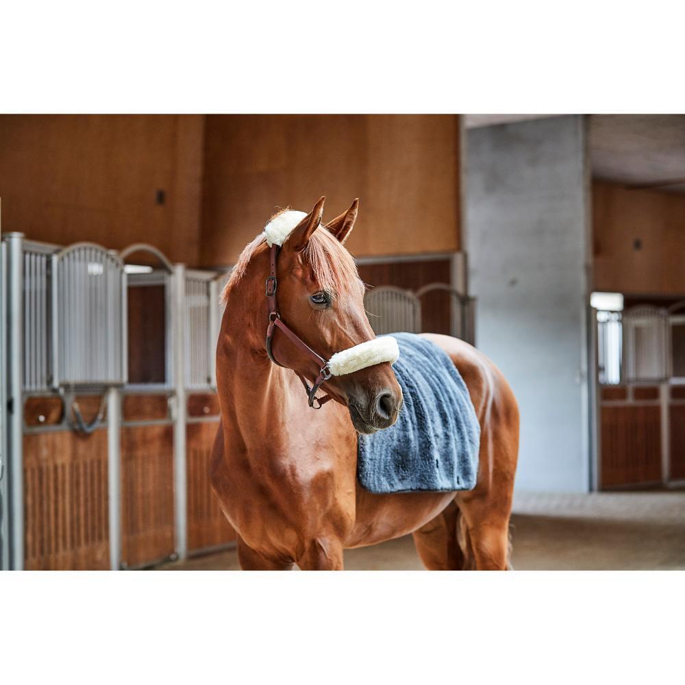 Gepolstertes Halfter aus Leder Catago 4/5