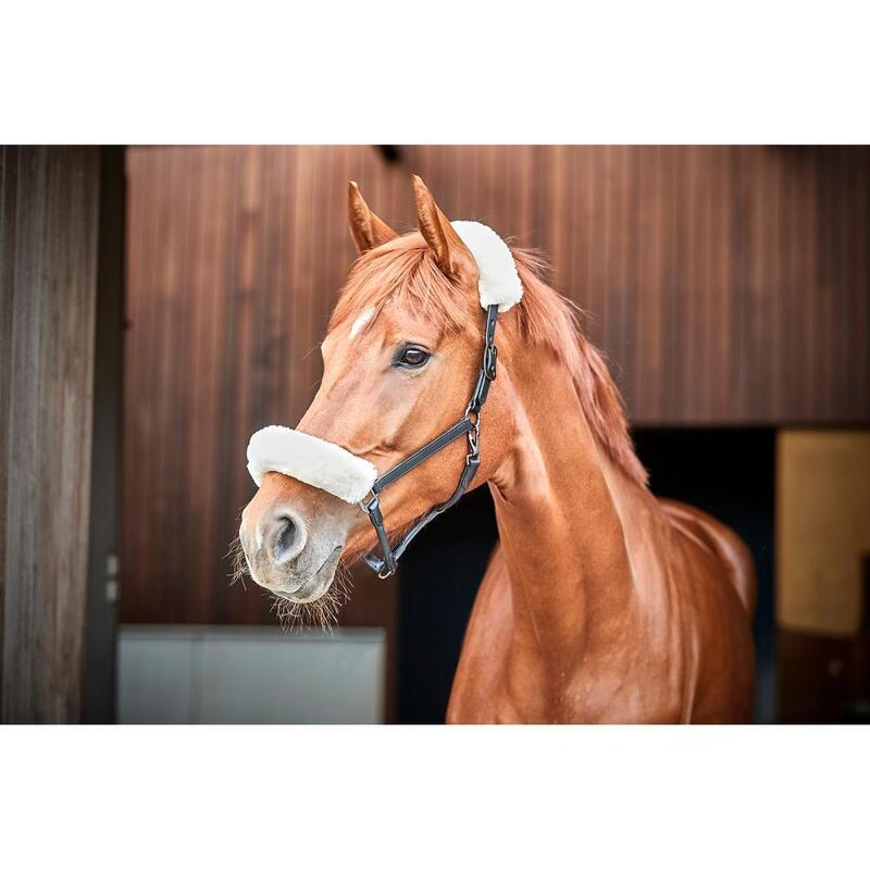 Licol pour cheval en cuir avec faux fourrure Catago