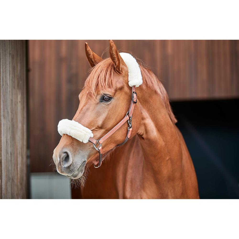 Gepolstertes Halfter aus Leder Catago 5/5