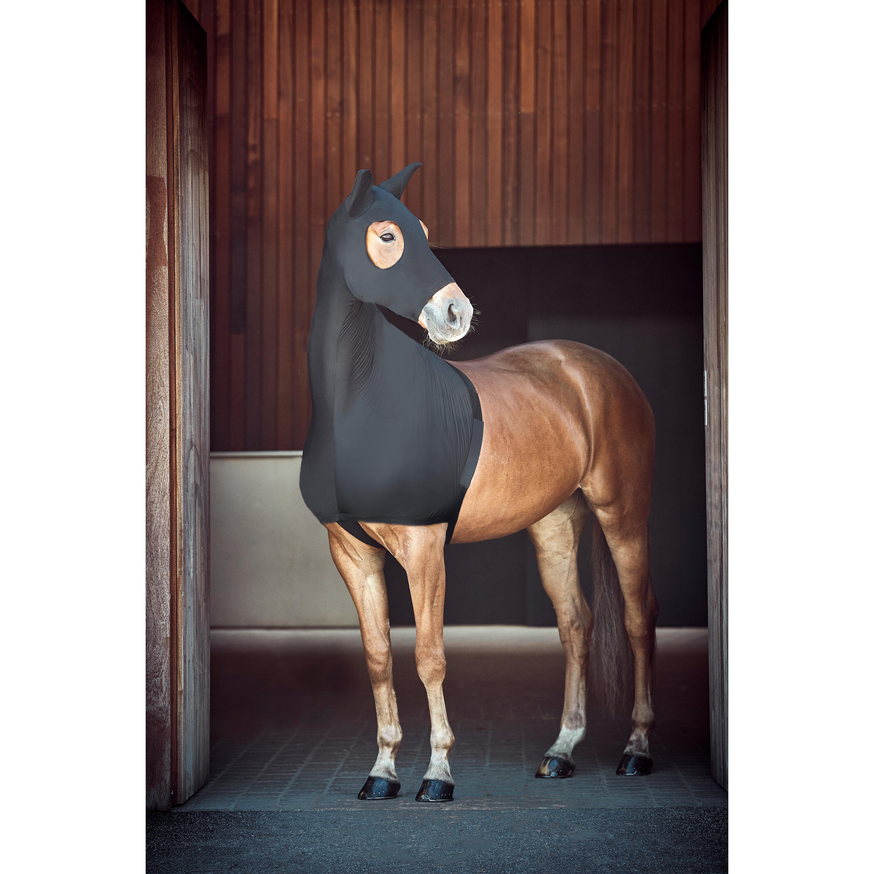 Máscara antimoscas extensible para caballos Catago FIR-Tech 2/2