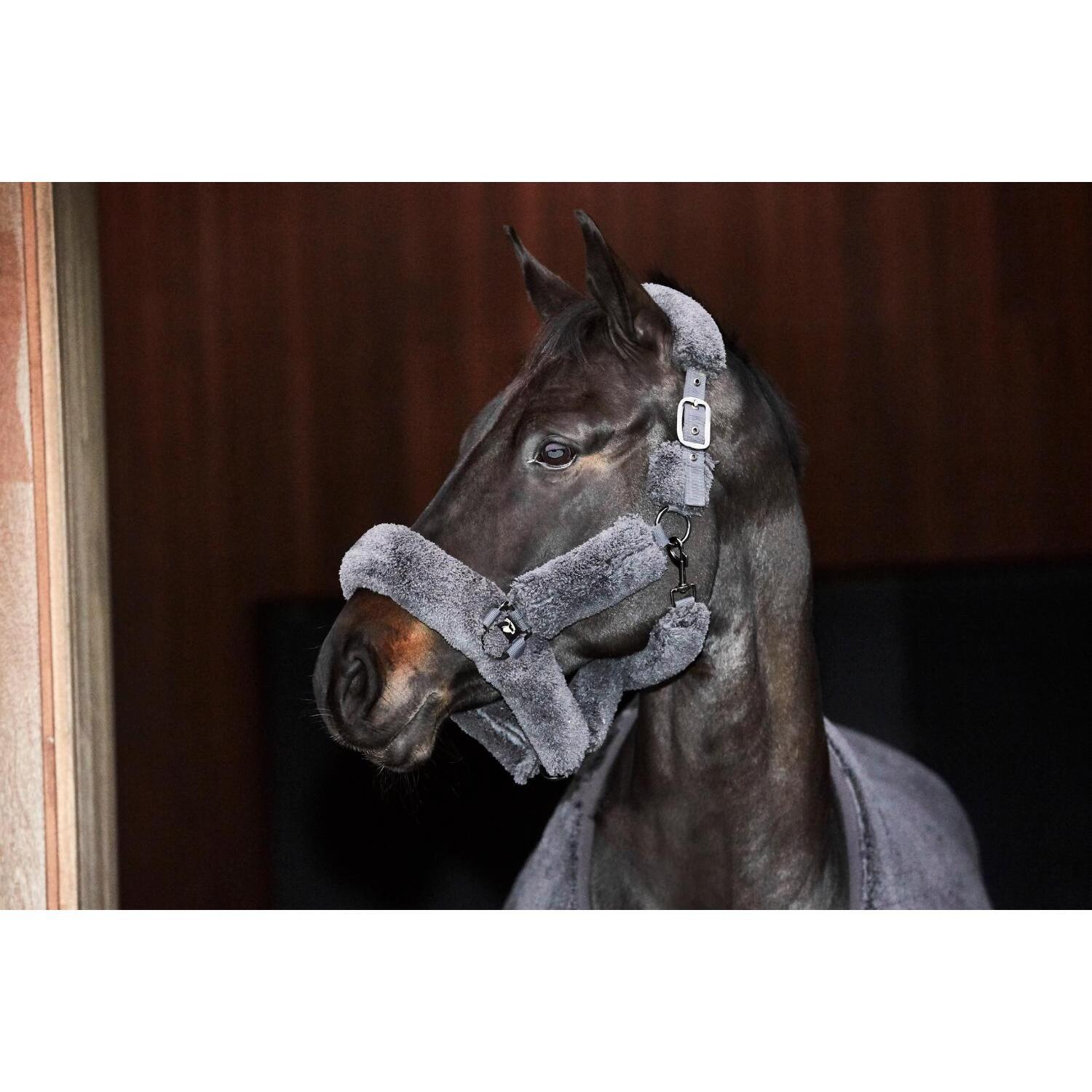 Licol pour cheval Catago Quick Dry 2/3