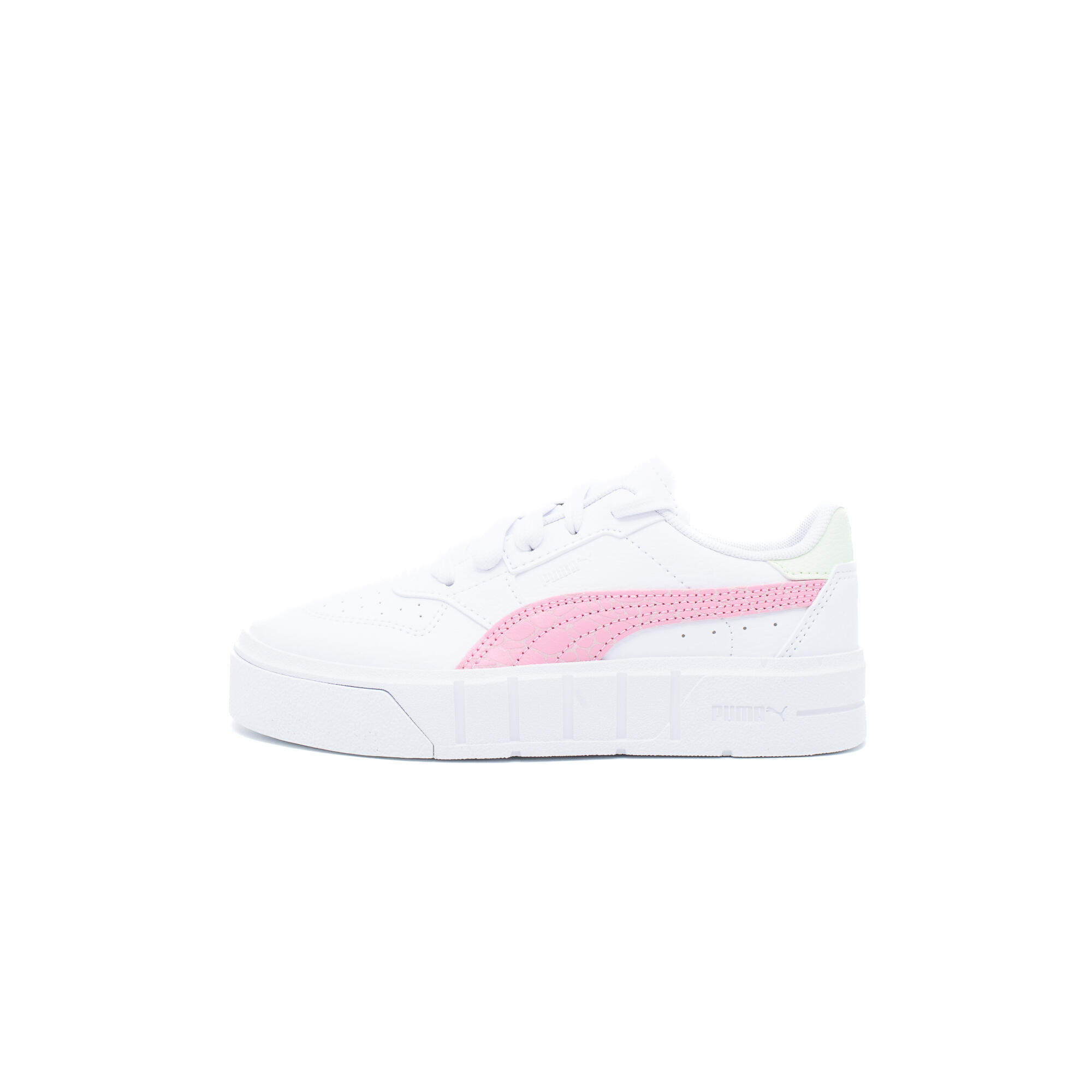 PUMA picture