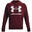 Hanorac pentru bărbați Under Armour Rival Fleece Big Logo HD
