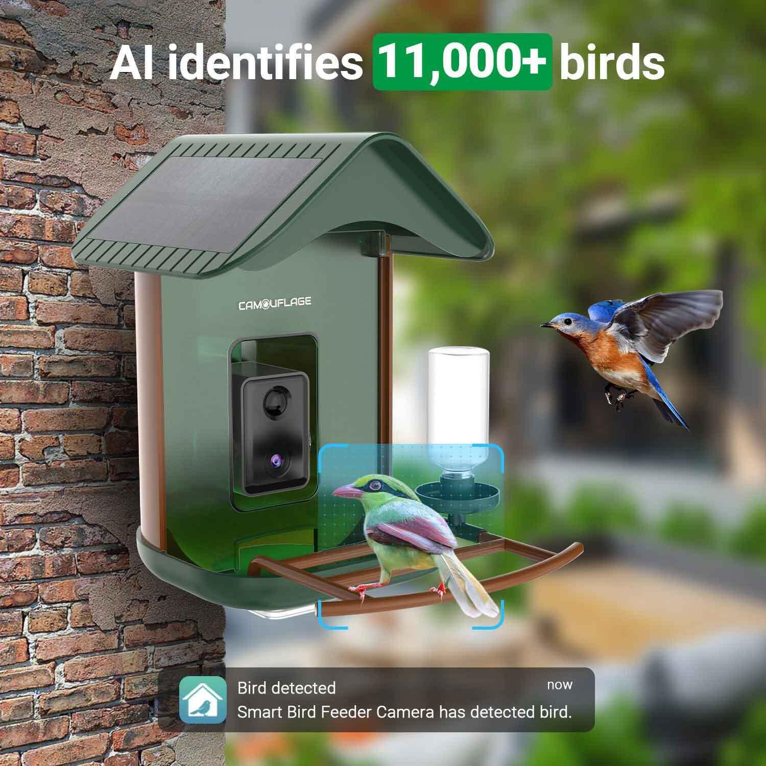 MANGEOIRE À OISEAUX CONNECTÉE AVEC DÉTECTION DES ESPÈCES PAR IA - BIRDLIFE 2/4