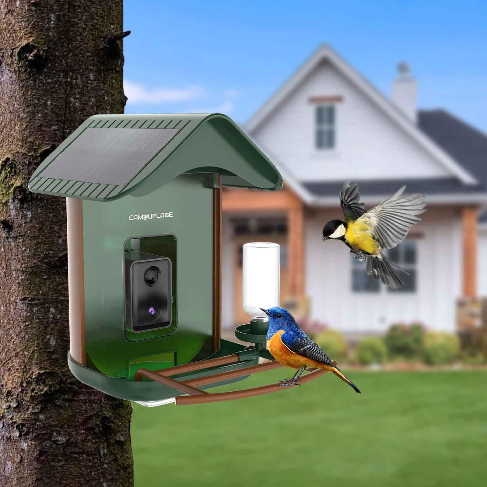MANGEOIRE À OISEAUX CONNECTÉE AVEC DÉTECTION DES ESPÈCES PAR IA - BIRDLIFE 4/4