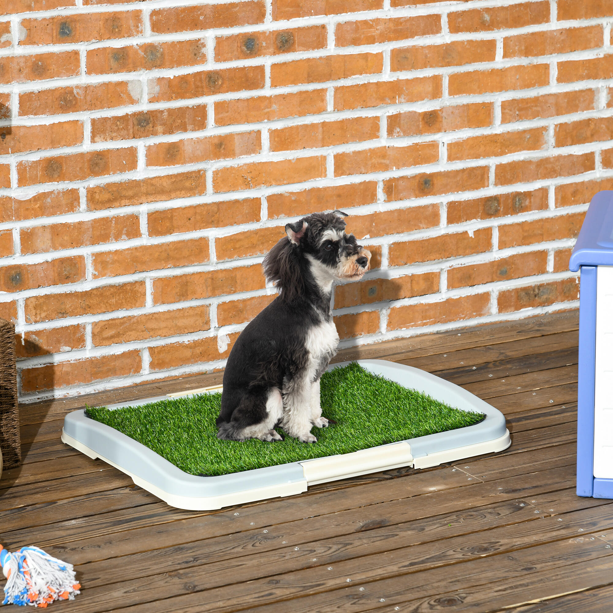 Inodoro para Perros PawHut 63x48.5x6 cm Multicolor 2/7