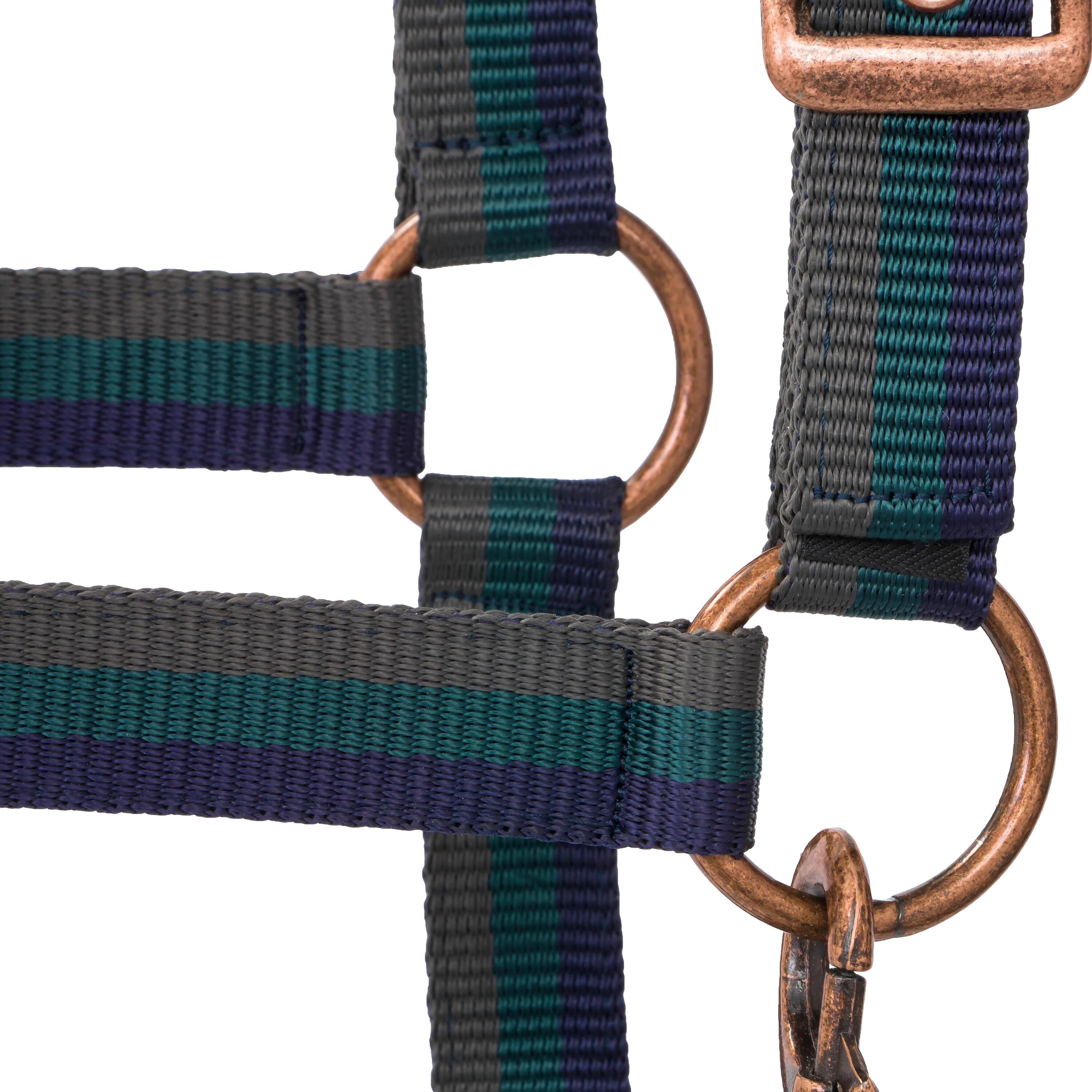 START Rustiek gevoerd halster voor paarden en pony's met gekleurd lint 4/5