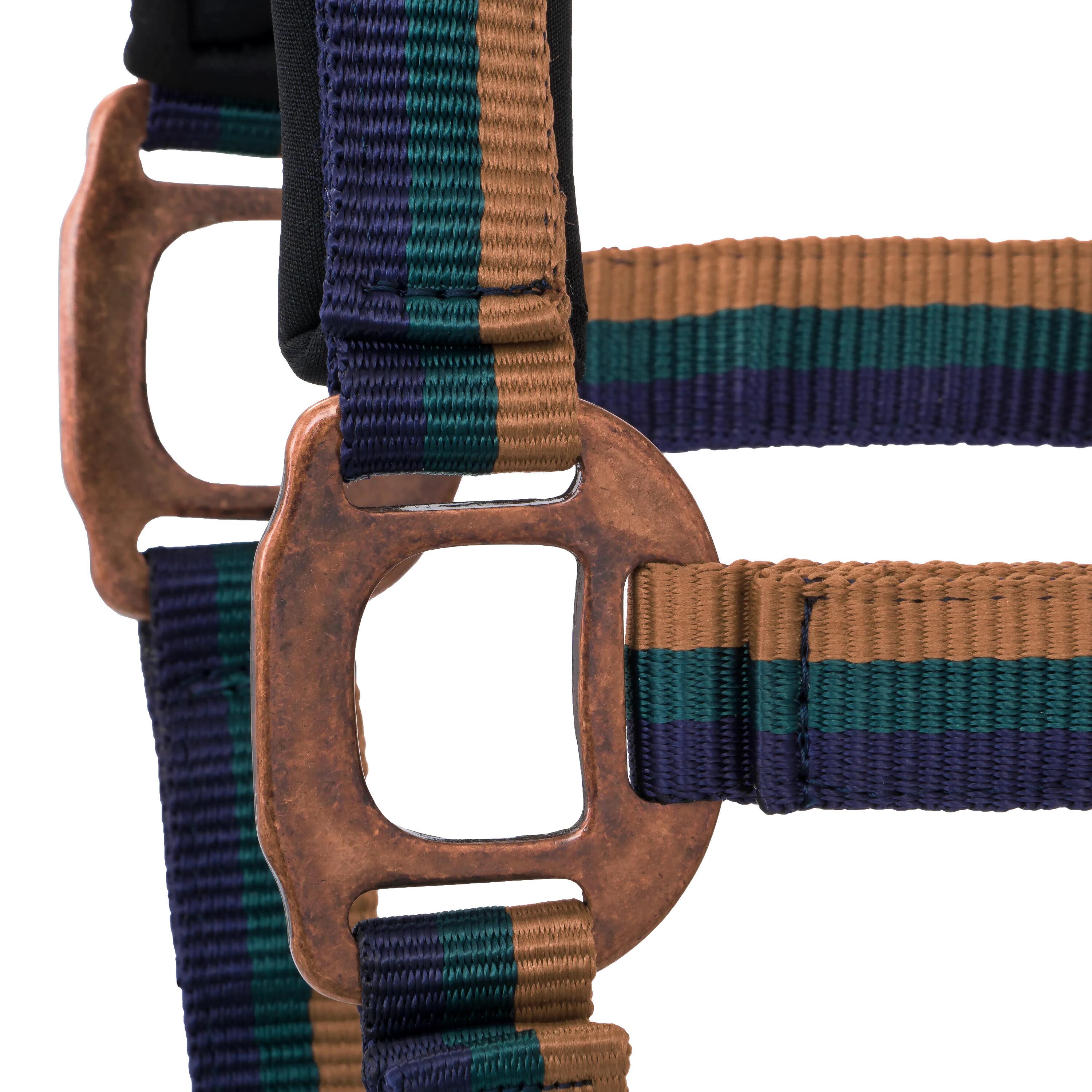 START Rustiek gevoerd halster voor paarden en pony's met gekleurd lint 4/4
