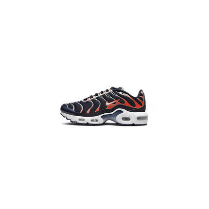 Nike Air Max Plus TN Dark Obsidian Phantom