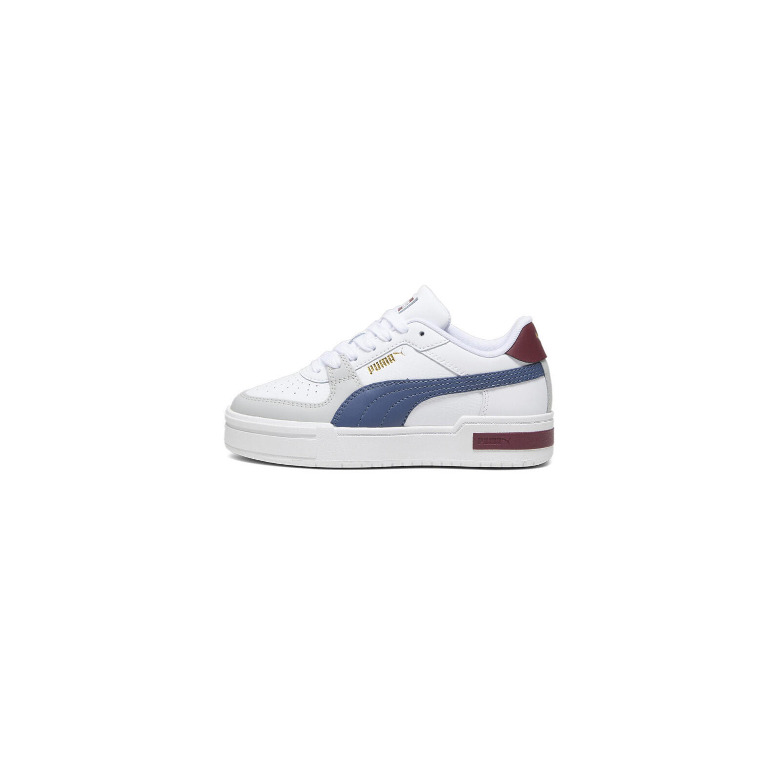 PUMA picture