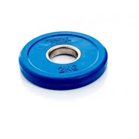 Fractional Olympic Bumper Plate - 2 kg