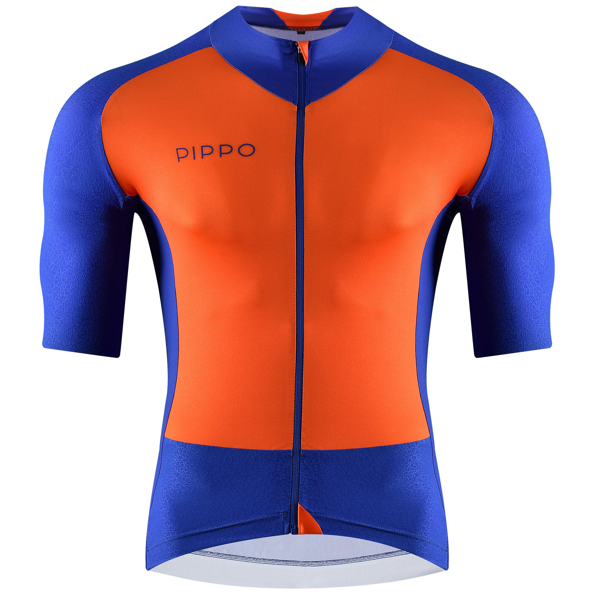 PIPPO AMSTERDAM picture