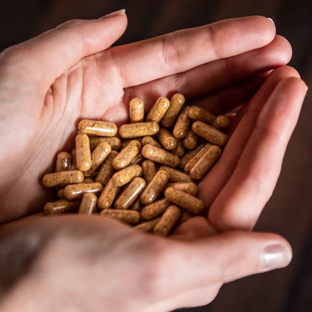 Pappa Reale Tonica Biologica 60caps MelTonic 2/2