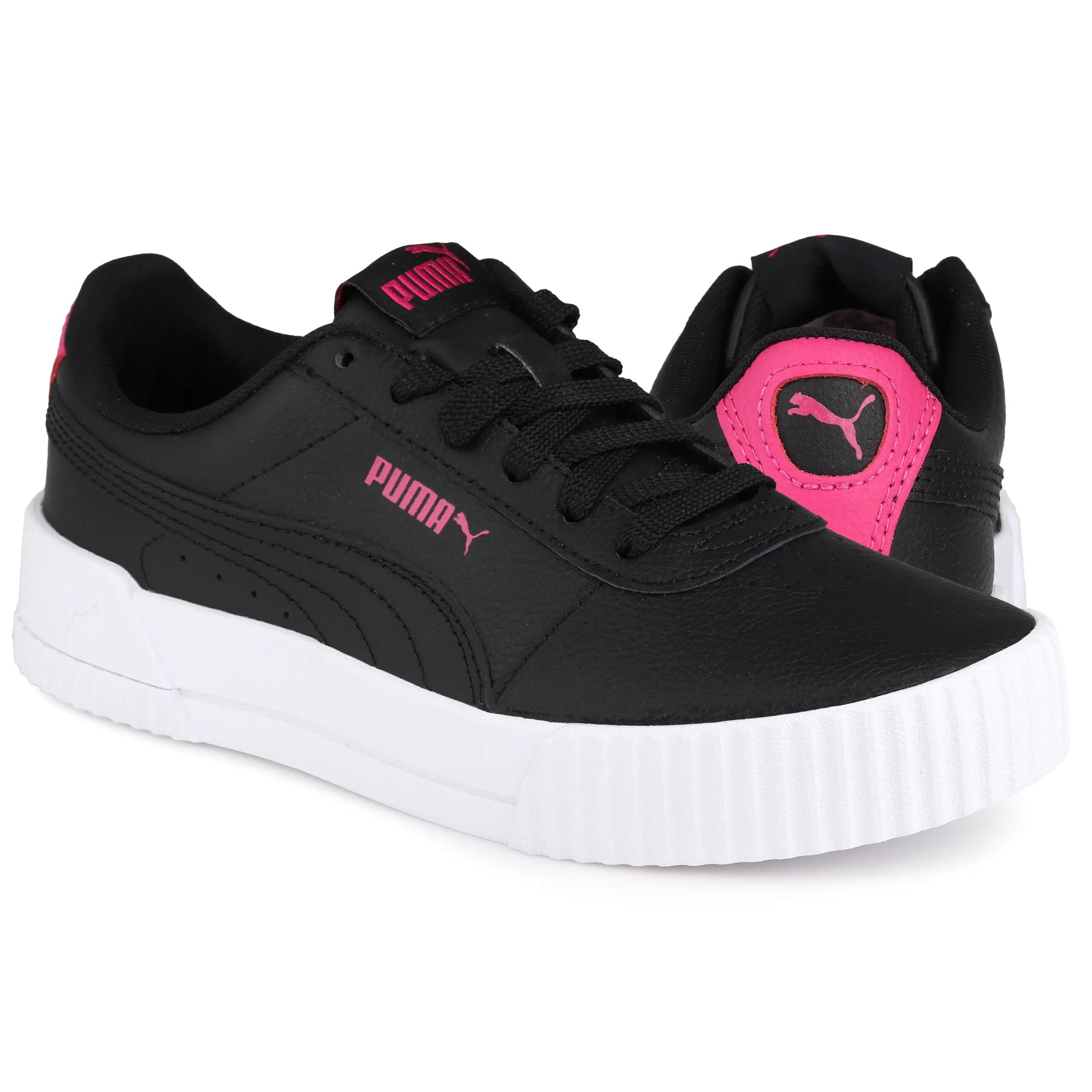 PUMA picture