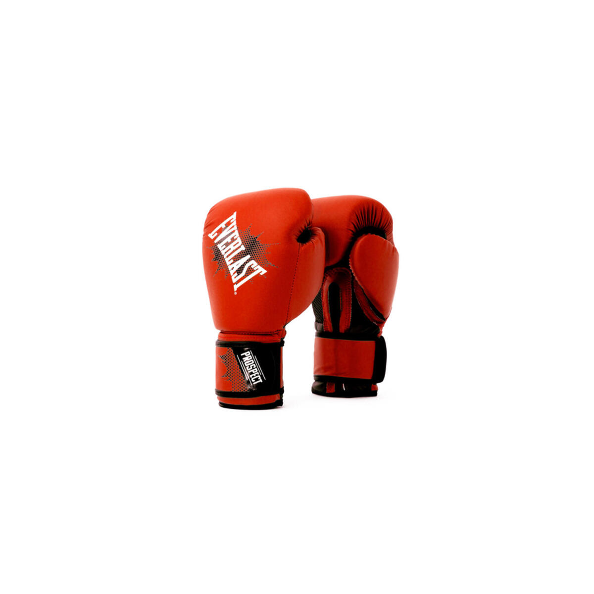 EVERLAST picture