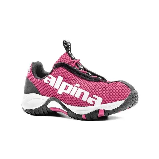 ALPINA picture