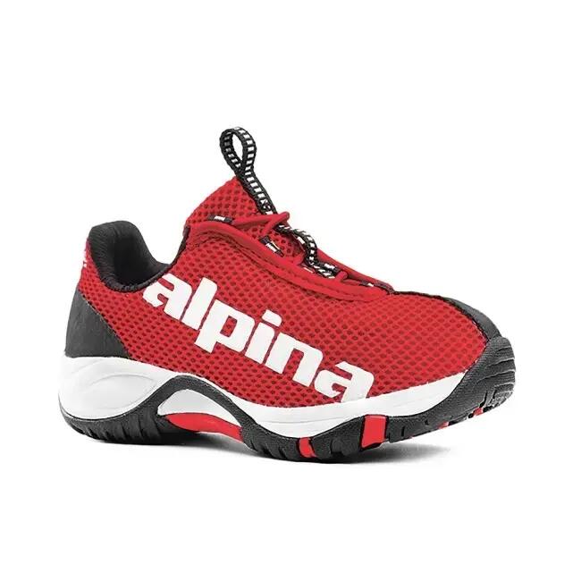 ALPINA picture