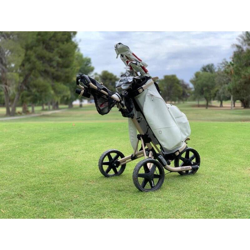 Chariot de golf 4.0 - Rose