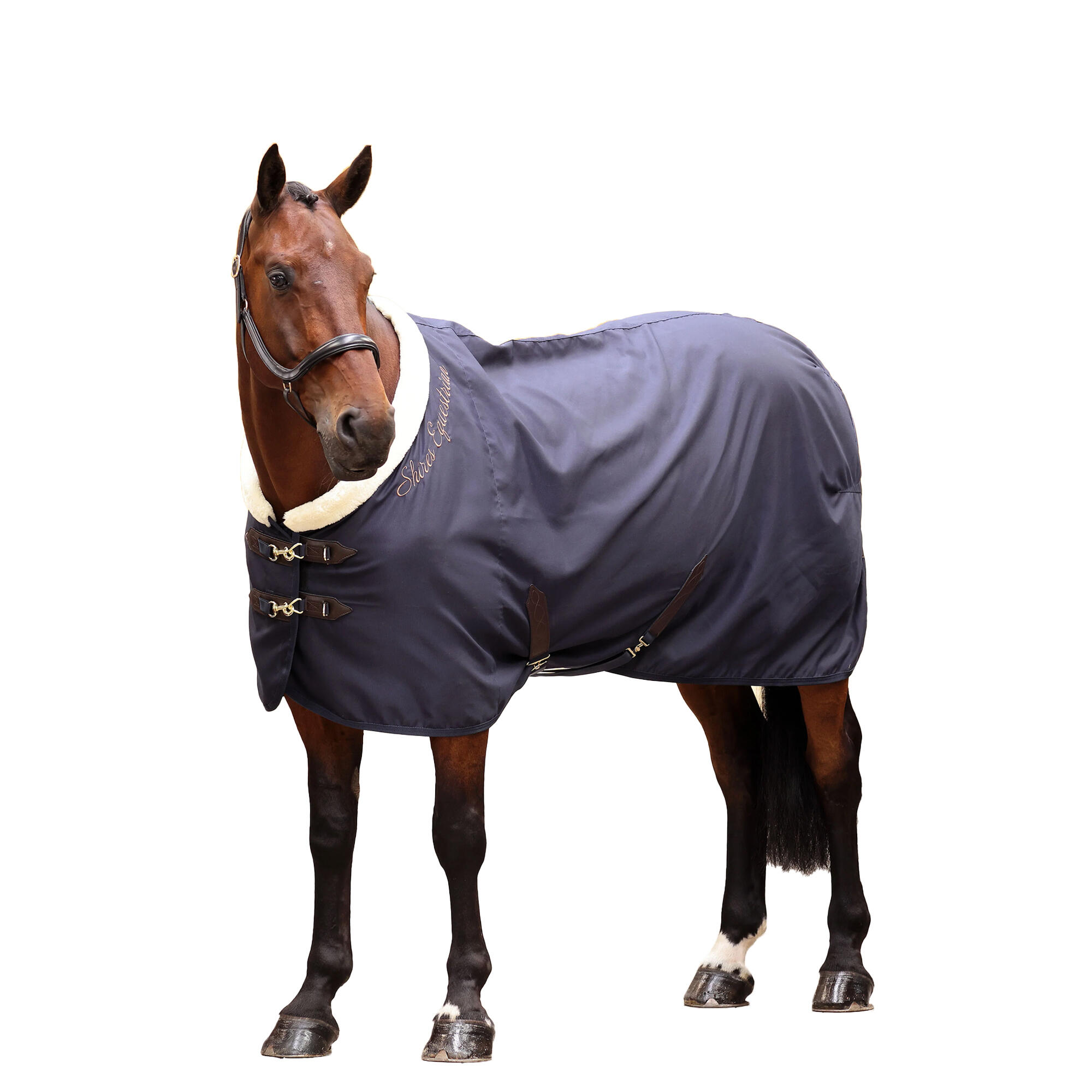 navy blue