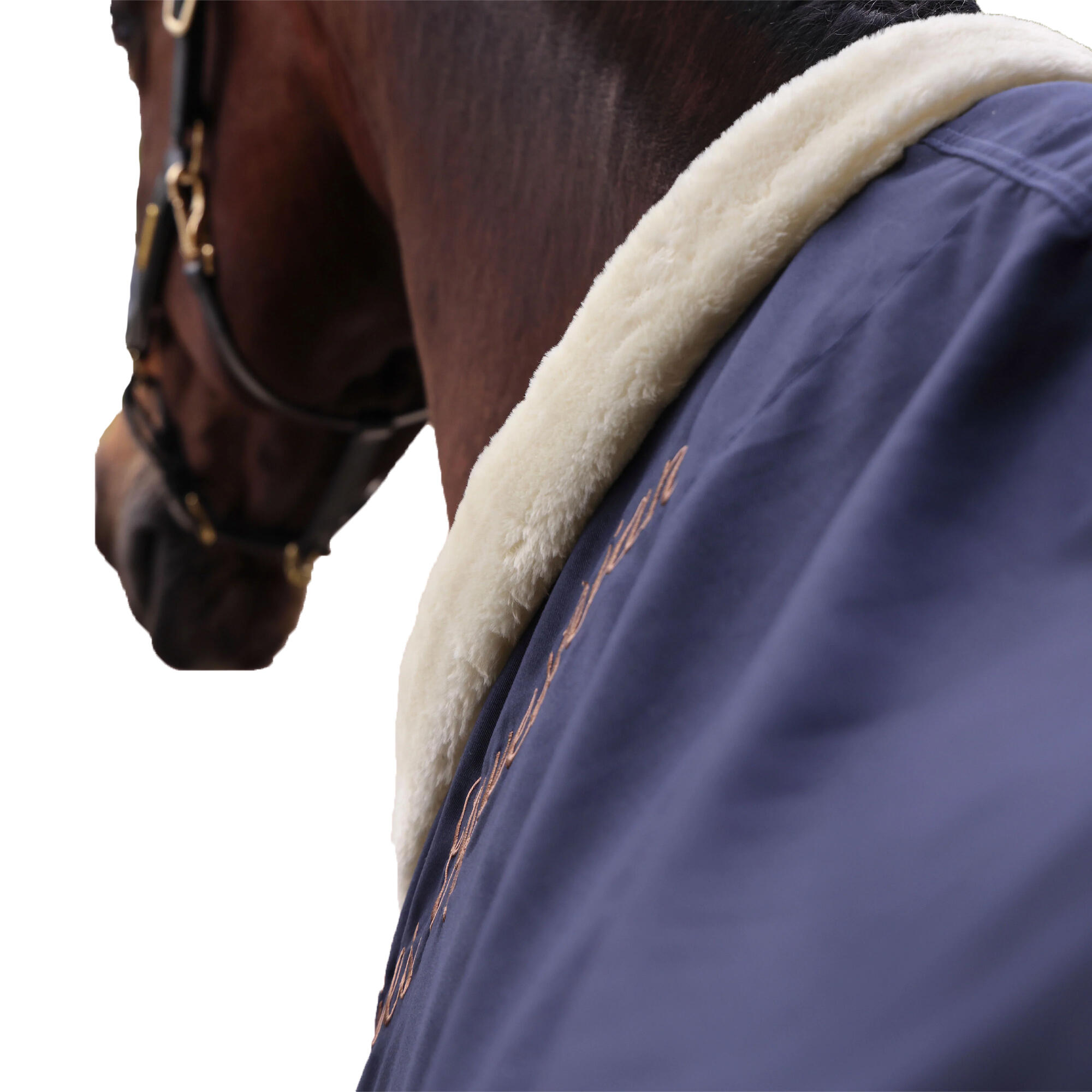 Deluxe StandardNeck Horse Stable Rug (Navy) 2/3