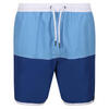 Heren Benicio Zwemshorts (Blauw meer/Royaal blauw)