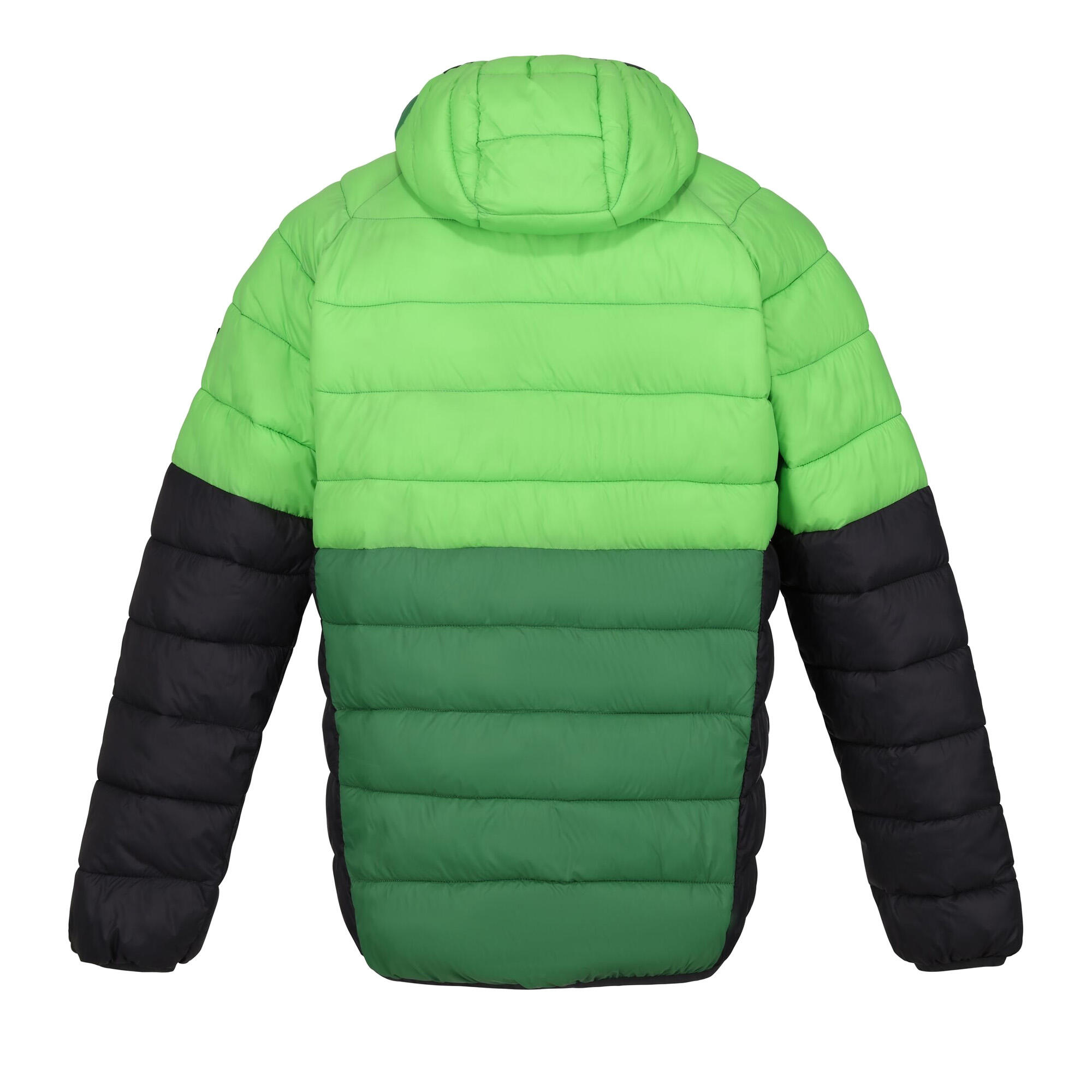 Veste Matelassée HARROCK Homme (Vert Jasmin / Vert Des Champs) 2/5
