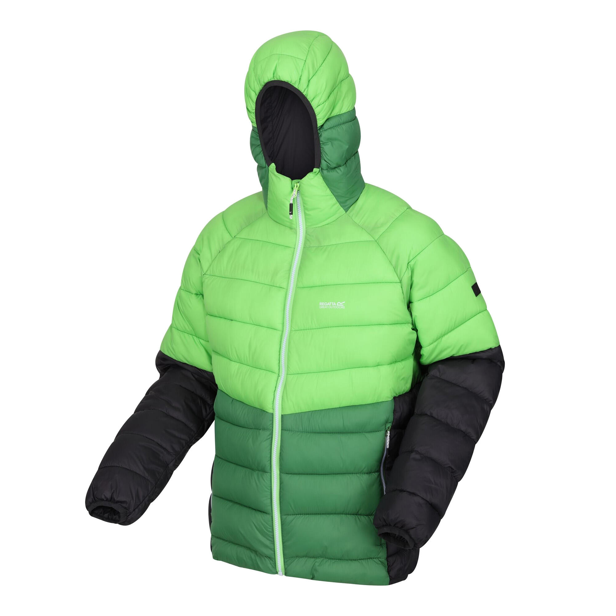 Veste Matelassée HARROCK Homme (Vert Jasmin / Vert Des Champs) 3/5